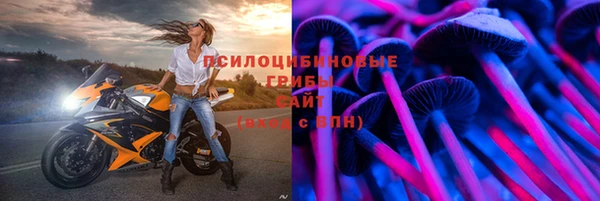 ALPHA-PVP Алексеевка