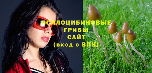 круглые Алексин