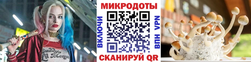 Псилоцибиновые грибы MAGIC MUSHROOMS цена Бахчисарай