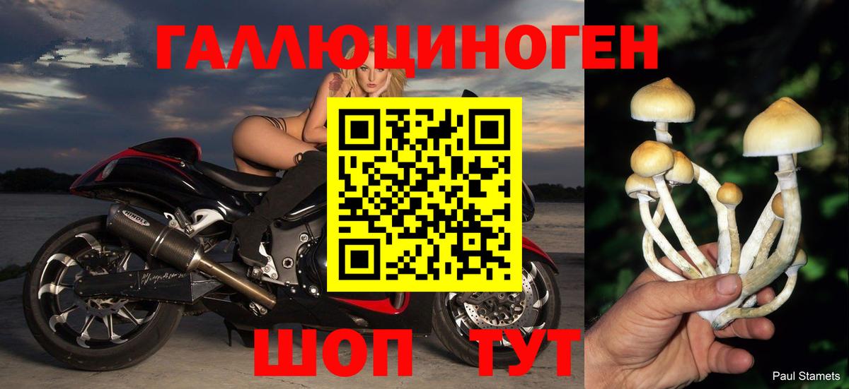 Галлюциногенные грибы Psilocybe  Галлюциногенные грибы Psilocybe  Вход с VPN  Бахчисарай 